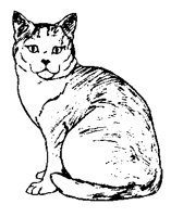 CATS0009.BMP