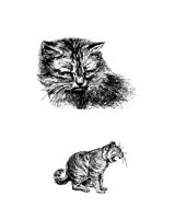 CATS.BMP