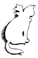 CATEJ8.BMP