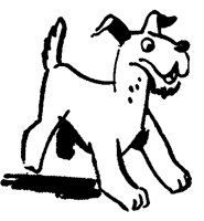 CAR_DOG.BMP