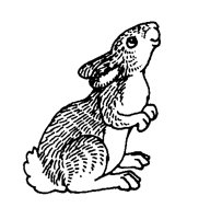 BUNNY.BMP
