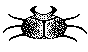 BUG.BMP
