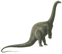 BRONTO.BMP