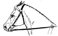 BRIDL4F1.BMP