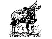 BONGO.BMP