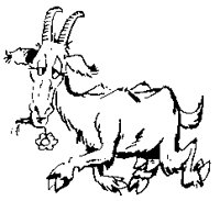 BOK.BMP