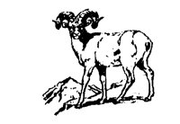 BIGHORN.BMP