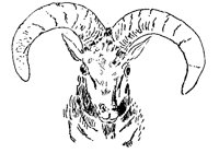 BHARA6P4.BMP