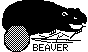 BEAVER5.BMP