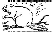 BEAVER.BMP