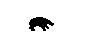 BEAR_CAU.BMP