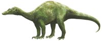 BARYONYX.BMP