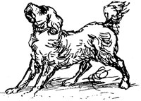BARK_405.BMP