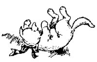 BACKEQ6.BMP