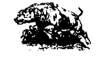 BABIRUS.BMP