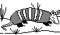 ARMDLLO2.BMP