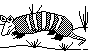 ARMDLLO1.BMP