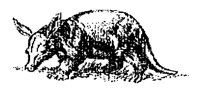 ARMADILO.BMP