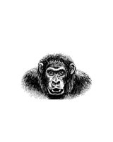 APE.BMP