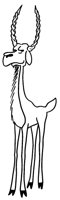 ANTLPE.BMP