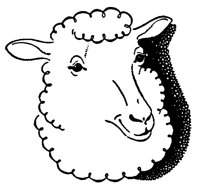 ANML1129.BMP