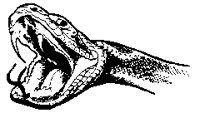 ANIM2085.BMP
