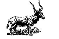 ADDAX.BMP