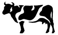 1314.BMP