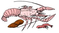 LOBSTER.PCX