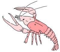 LOBST2.PCX