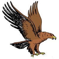 EAGLE2.PCX
