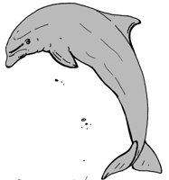 DOLPHIN.PCX