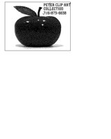 APPLE2.BMP