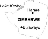 ZIMBAB_T.BMP