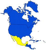MEXICOHI.BMP