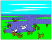 MARSH.BMP