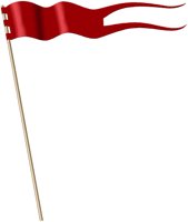 FLAG2.BMP