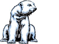 POLRBEAR.BMP