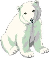 POLARCUB.BMP