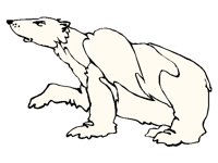POLARBR.BMP