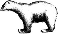 POLAR230.BMP