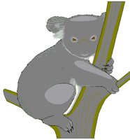 KOALA2.BMP
