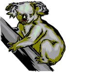 KOALA1.BMP