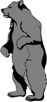 GRIZZLYB.BMP
