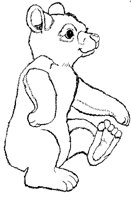 DNCEBEAR.BMP