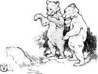 BEAR_AQ0.BMP