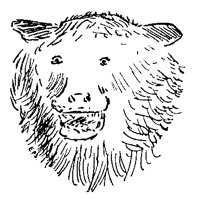 BEAR_6P1.BMP