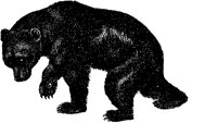 BEAR_231.BMP