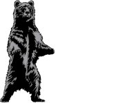 BEAR01.BMP