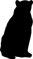 ANI093.BMP
